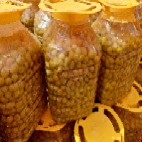خرید عمده زیتون