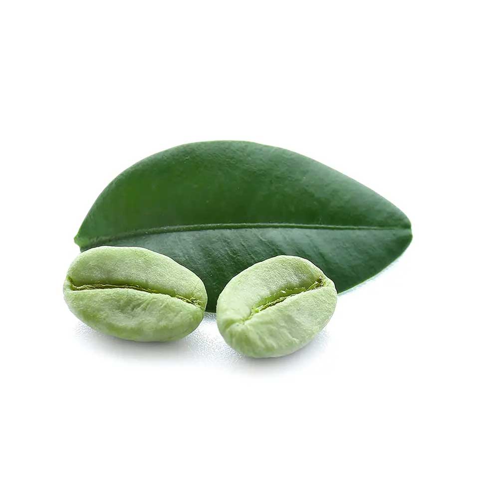خرید عمده دانه قهوه سبز عربیکا، محصول ویتنام، دو سال ماندگاری