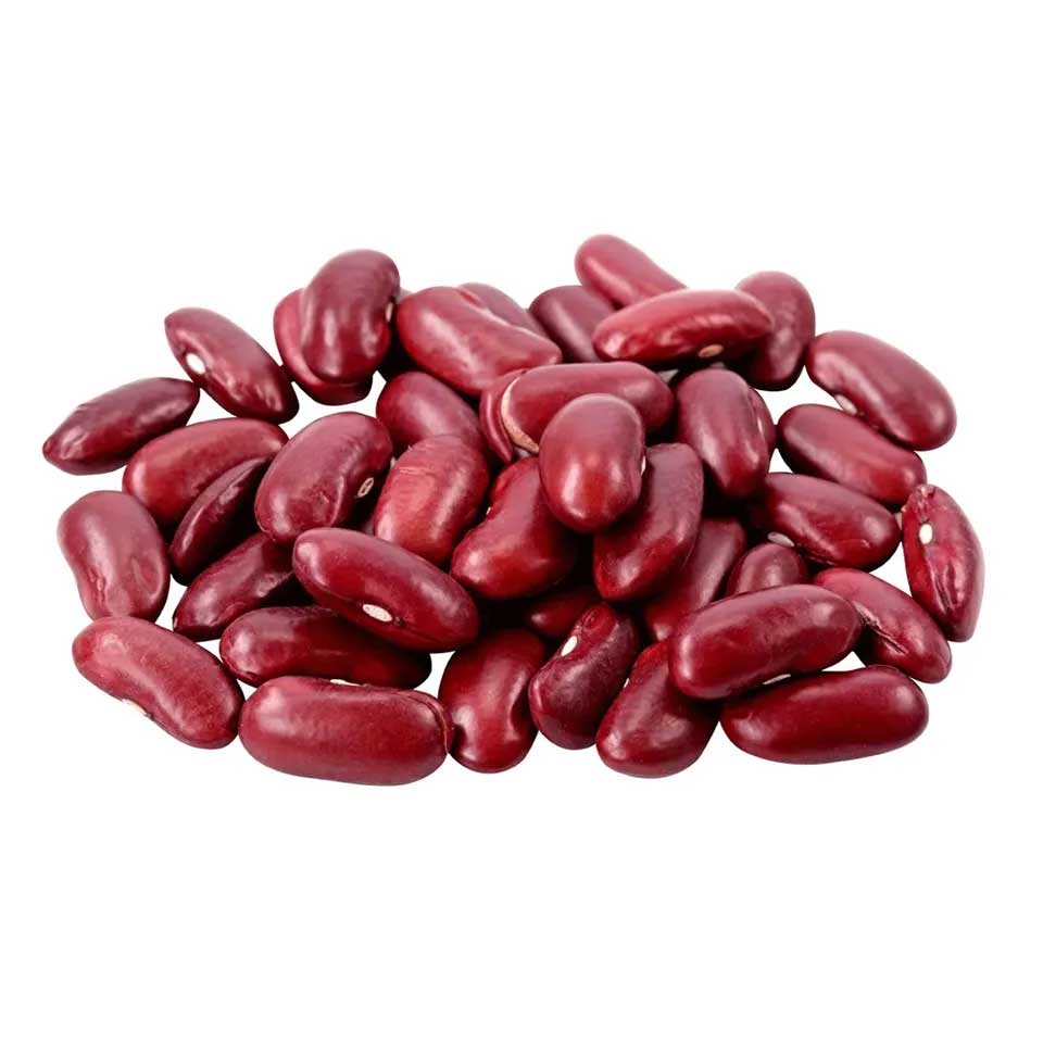 خرید عمده لوبیا قرمز، غیر تراریخته، محصول ازبکستان