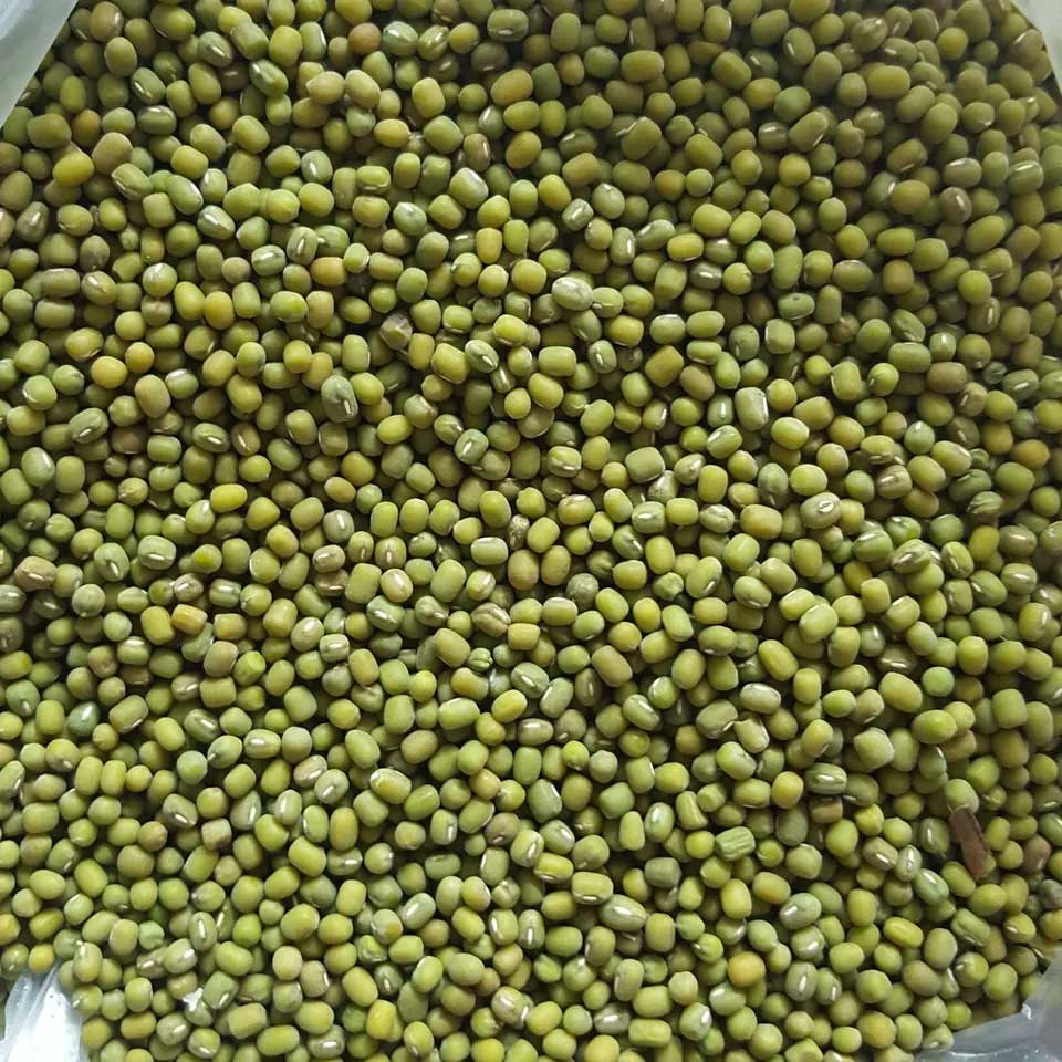خرید عمده ماش سبز، محصول برمه، دو سال ماندگاری