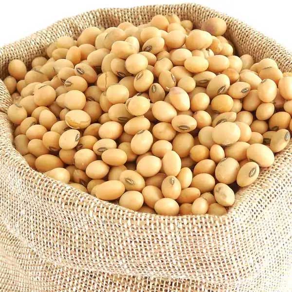 خرید عمده دانه سویا بوداده نمکی، محصول پاکستان