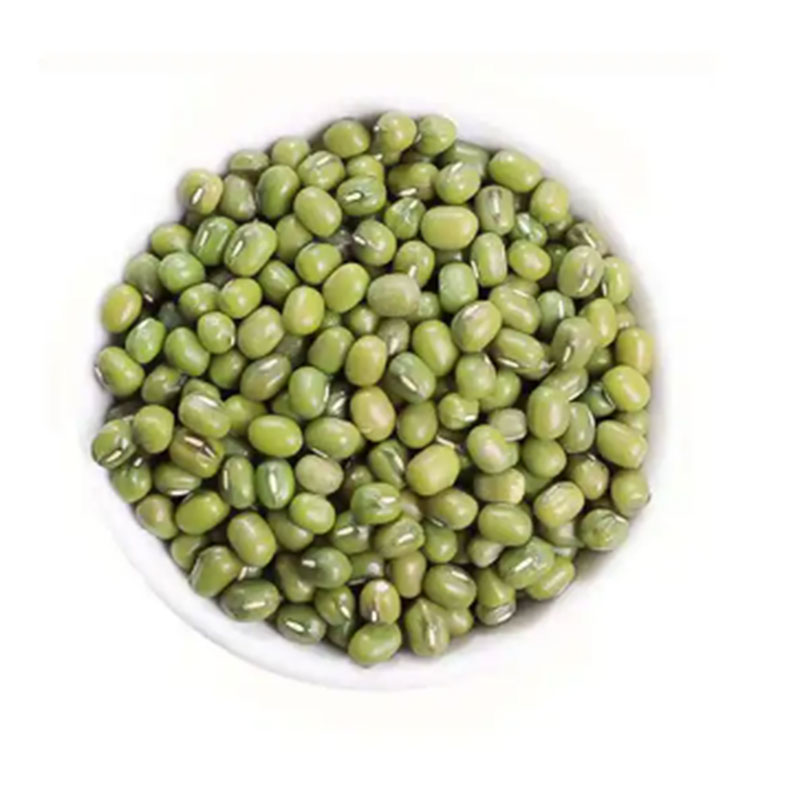 خرید عمده ماش سبز تایلندی