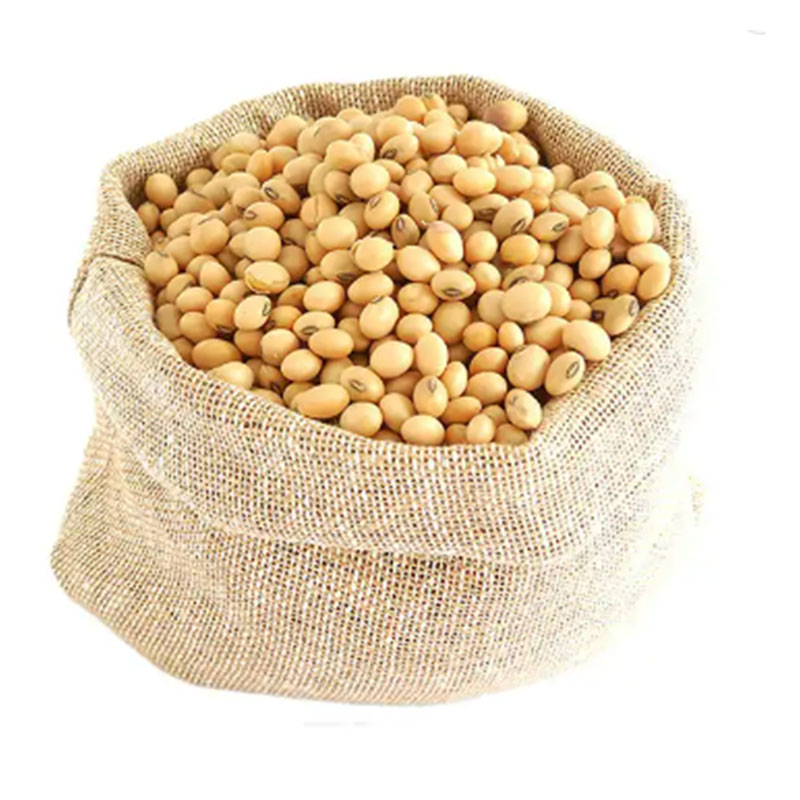 خرید عمده دانه سویا برزیلی