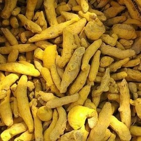 خرید عمده زردچوبه توبک طلایی