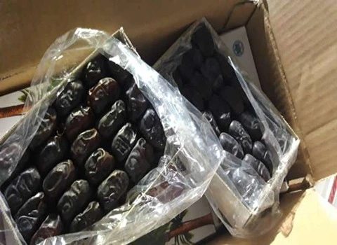 خرید عمده خرما  مضافاتی    Date