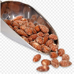 خرید عمده گردوی Hickory به صورت خام